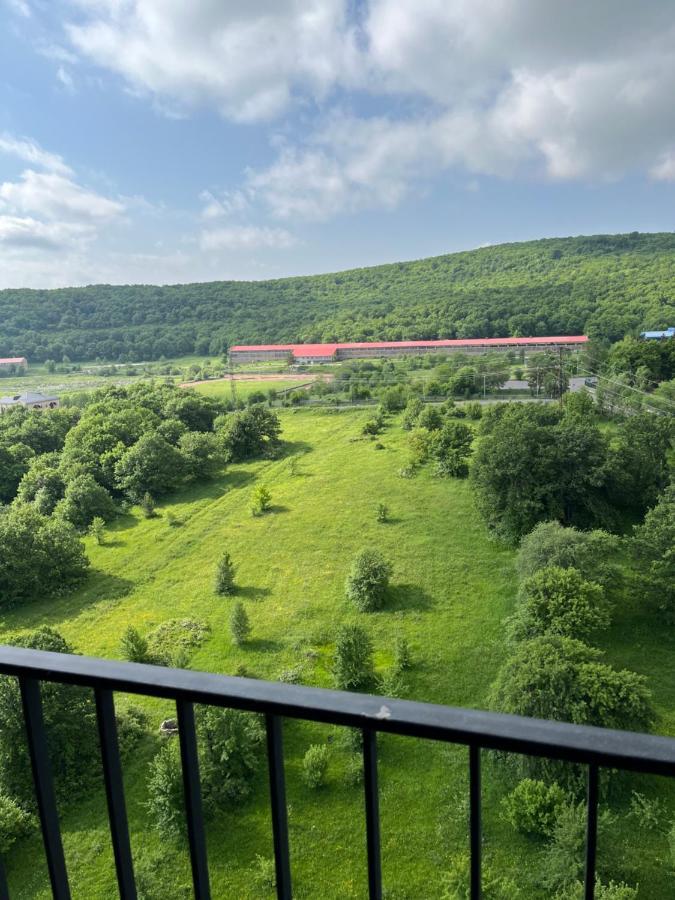 Цахкадзор, Tsaxkadzor, Kechi House Apartment 300 외부 사진